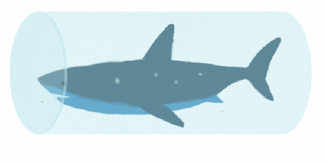 一场属于机器鱼的“奇幻漂流”，可在细小血管中“逆流而上”！(图13)